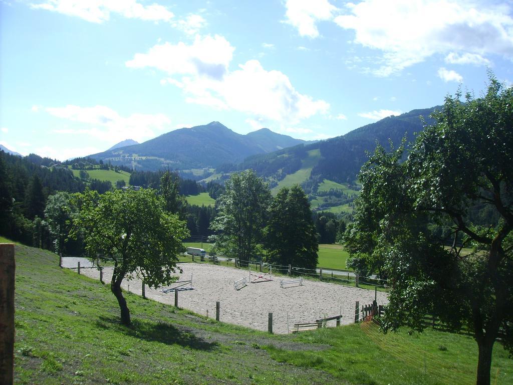 Saumerhof Schladming Extérieur photo