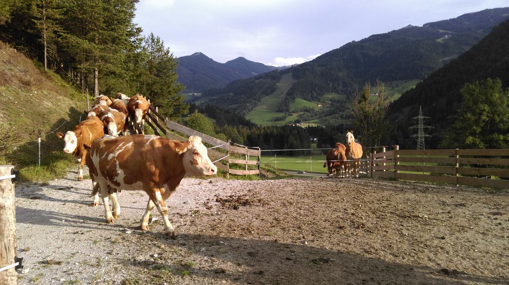 Saumerhof Schladming Extérieur photo