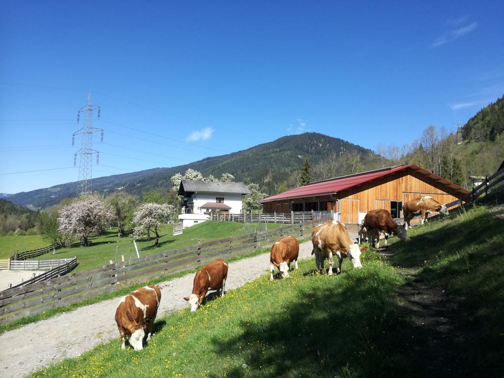 Saumerhof Schladming Extérieur photo