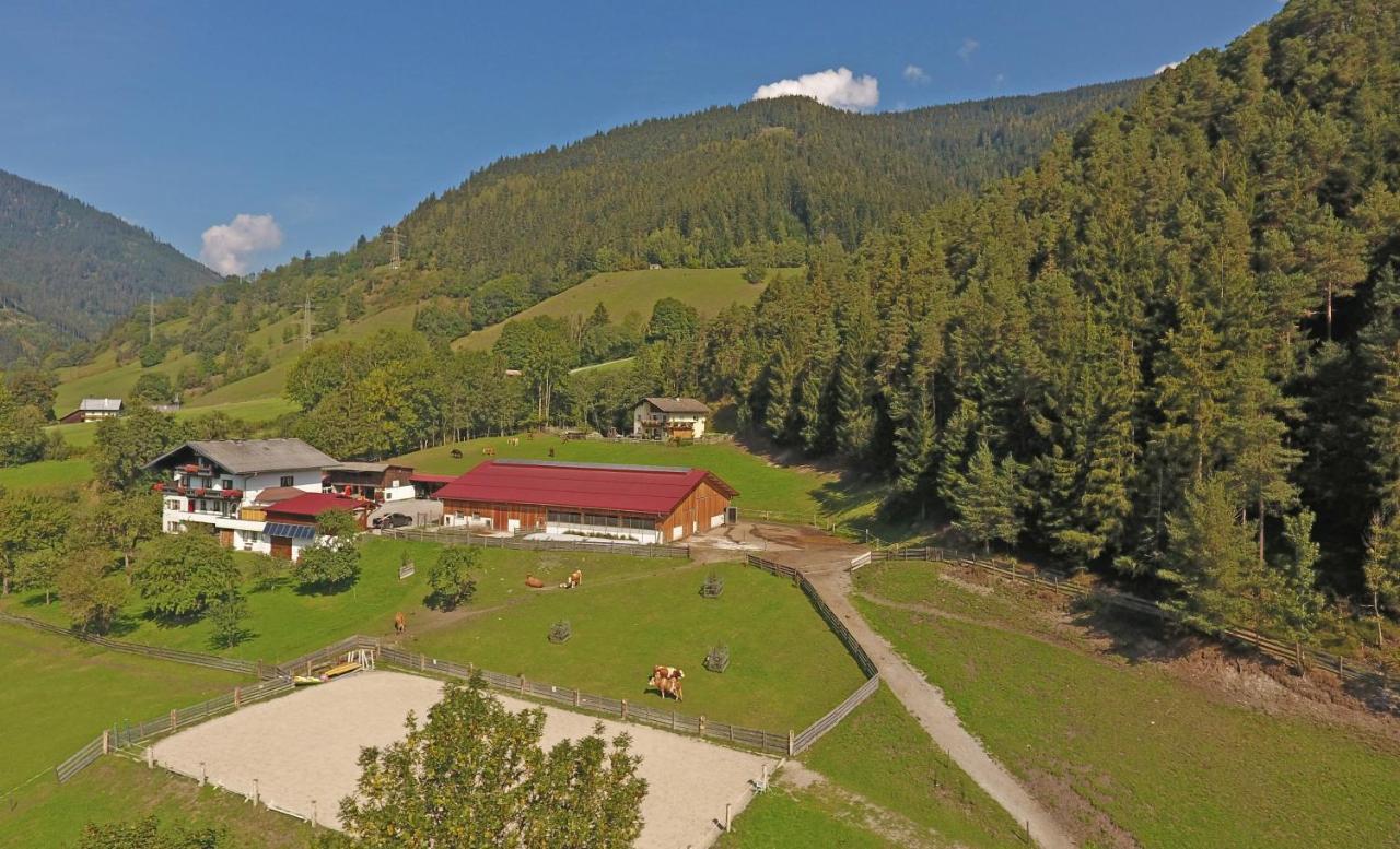 Saumerhof Schladming Extérieur photo