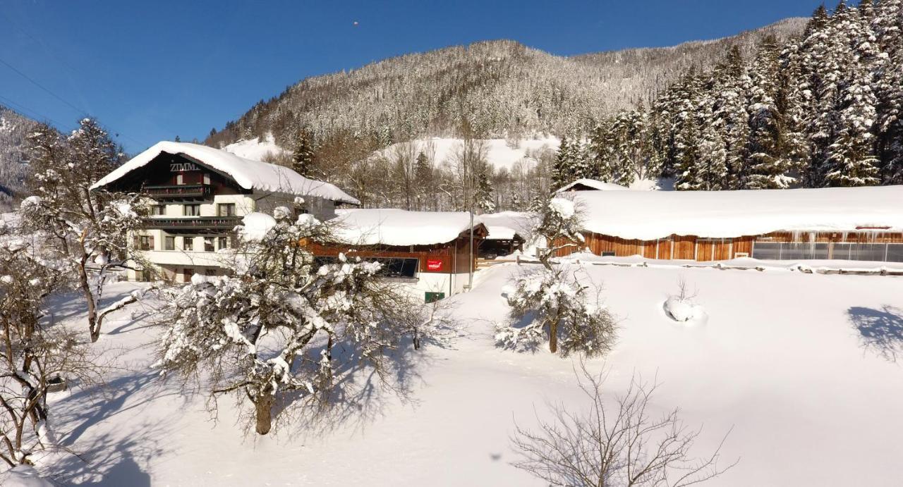 Saumerhof Schladming Extérieur photo